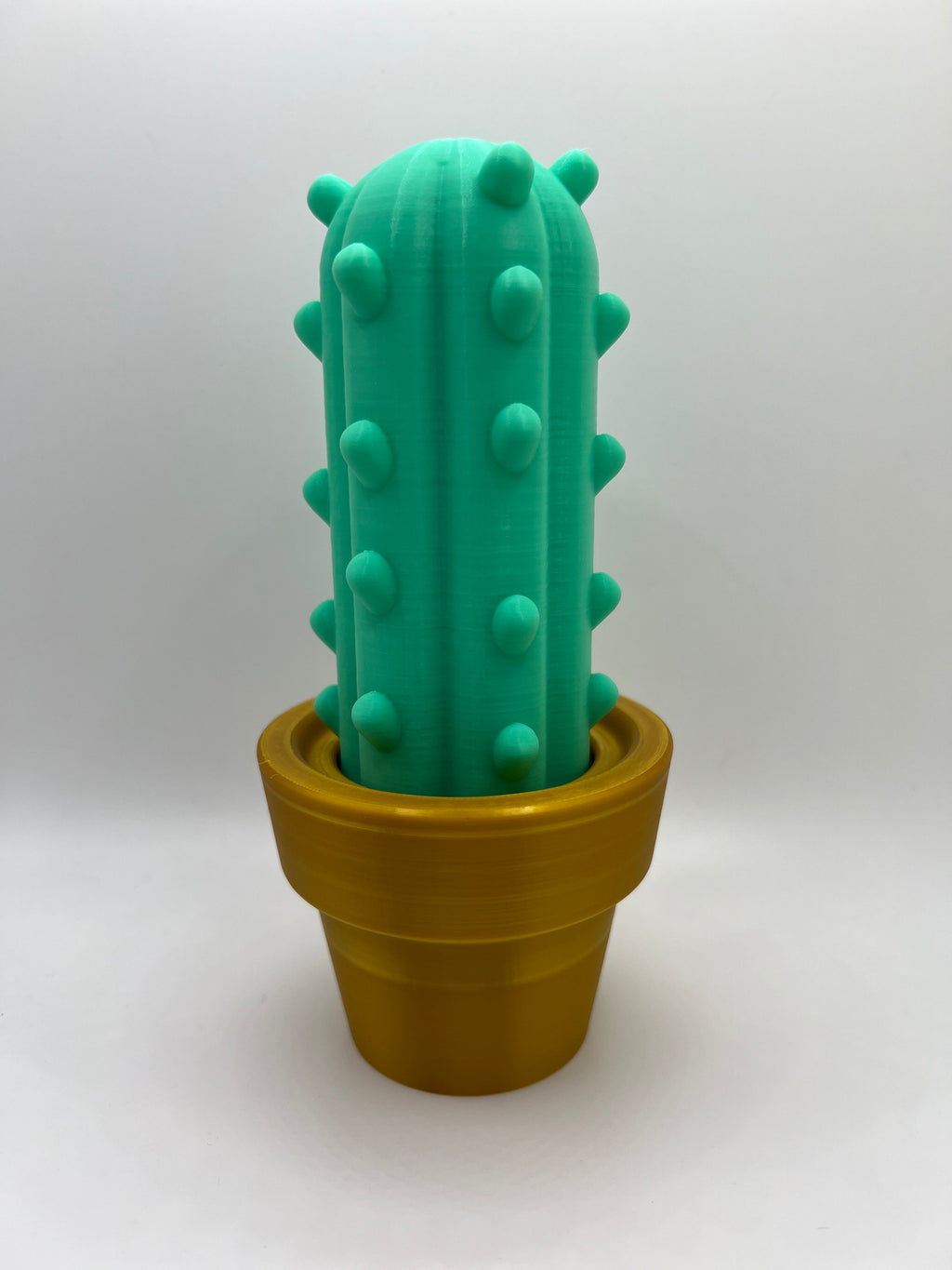 3D Printed Cactus Decor: Low Maintenance Plant Gifts