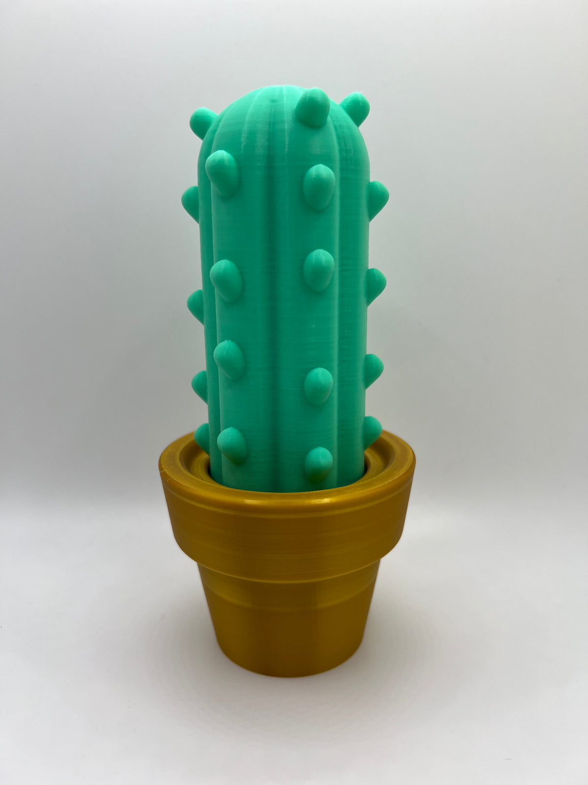 3D Printed Cactus Decor: Low Maintenance Plant Gifts