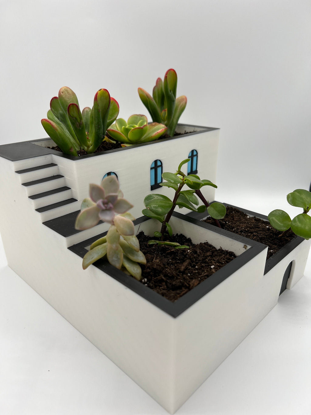 3D Printed Zen Garden Planter: Tiered Succulent Home Decor