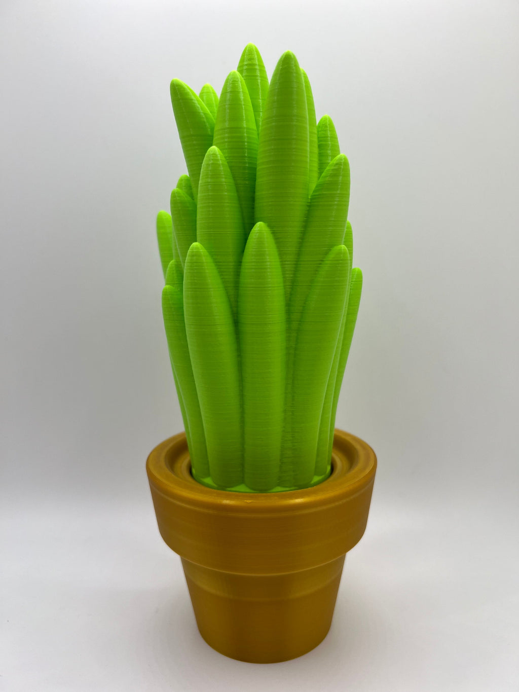3D Printed Cactus Decor: Low Maintenance Plant Gifts