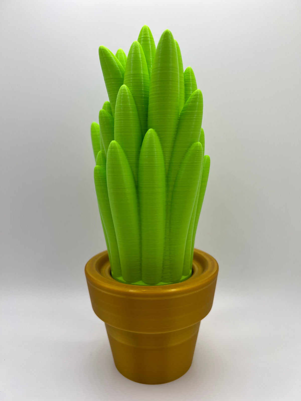 3D Printed Cactus Decor: Low Maintenance Plant Gifts