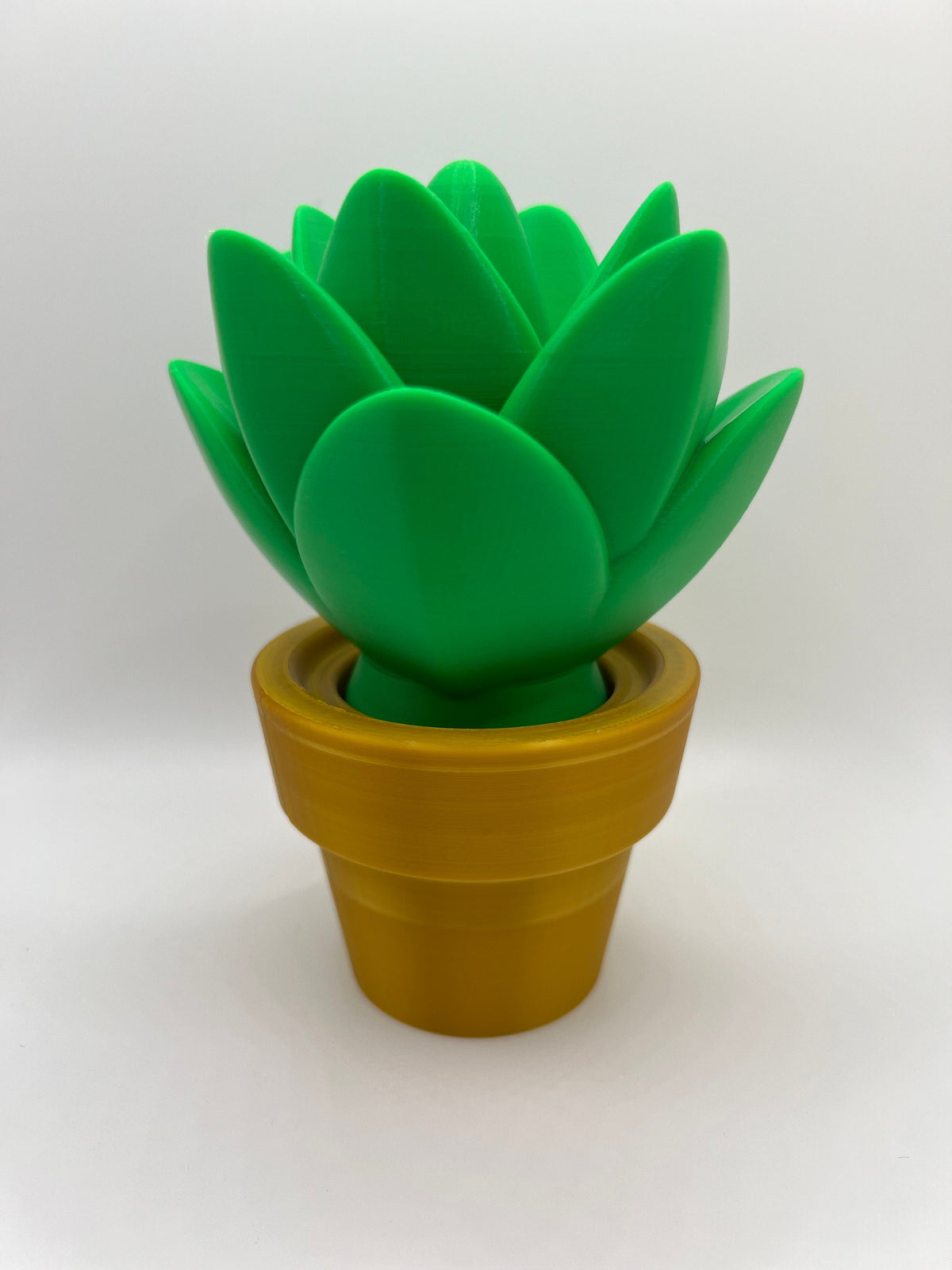 3D Printed Cactus Decor: Low Maintenance Plant Gifts