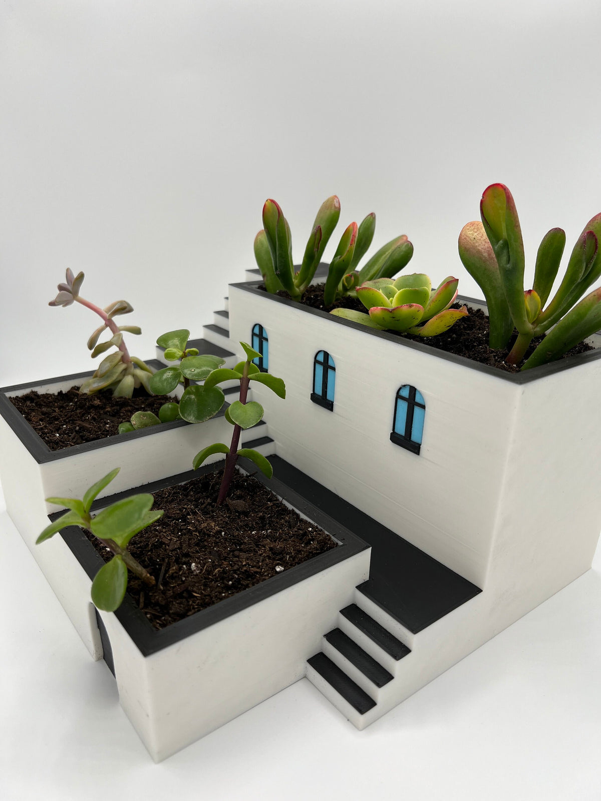 3D Printed Zen Garden Planter: Tiered Succulent Home Decor
