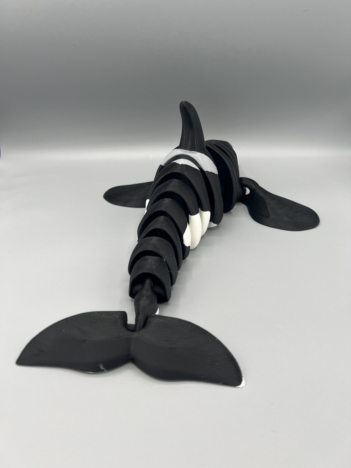 3D Printed Flexi Orca Whale: Articulated Fidget Toy, Custom Colors