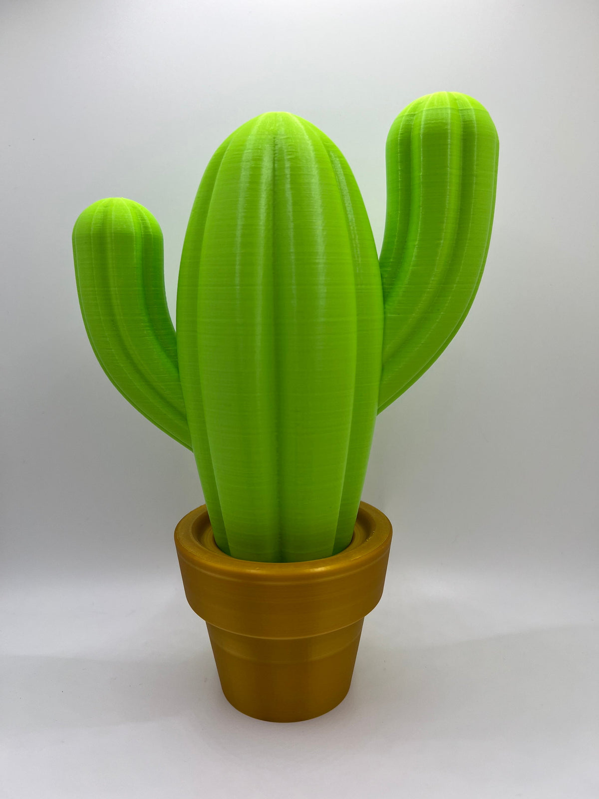 3D Printed Cactus Decor: Low Maintenance Plant Gifts