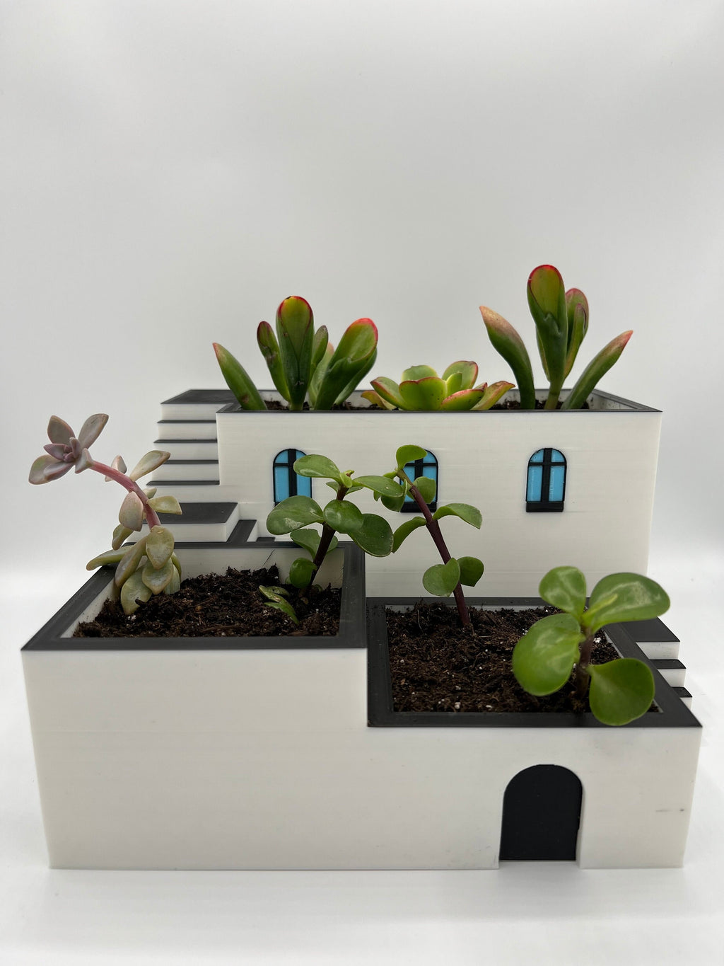 3D Printed Zen Garden Planter: Tiered Succulent Home Decor