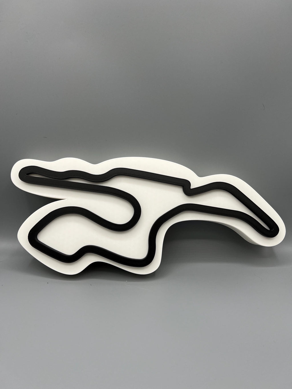 Sonoma Raceway 3D Printed Wall Art: Car Lover Gift
