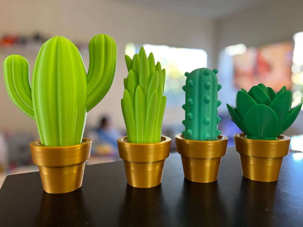 3D Printed Cactus Decor: Low Maintenance Plant Gifts