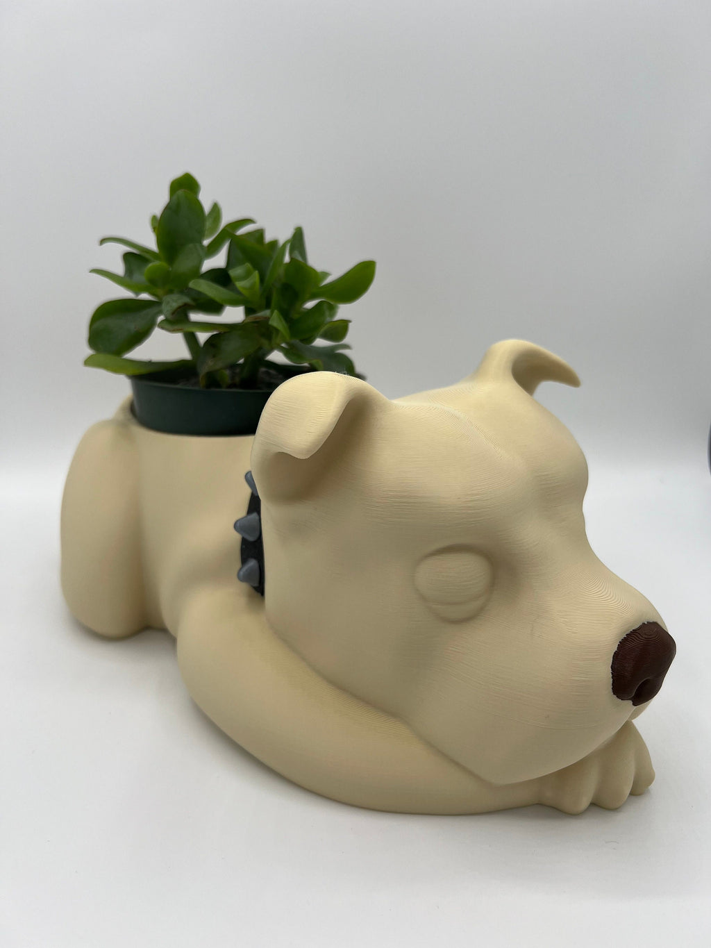 Sleeping Staffy Planter: Staffordshire Bull Terrier Dog Planter