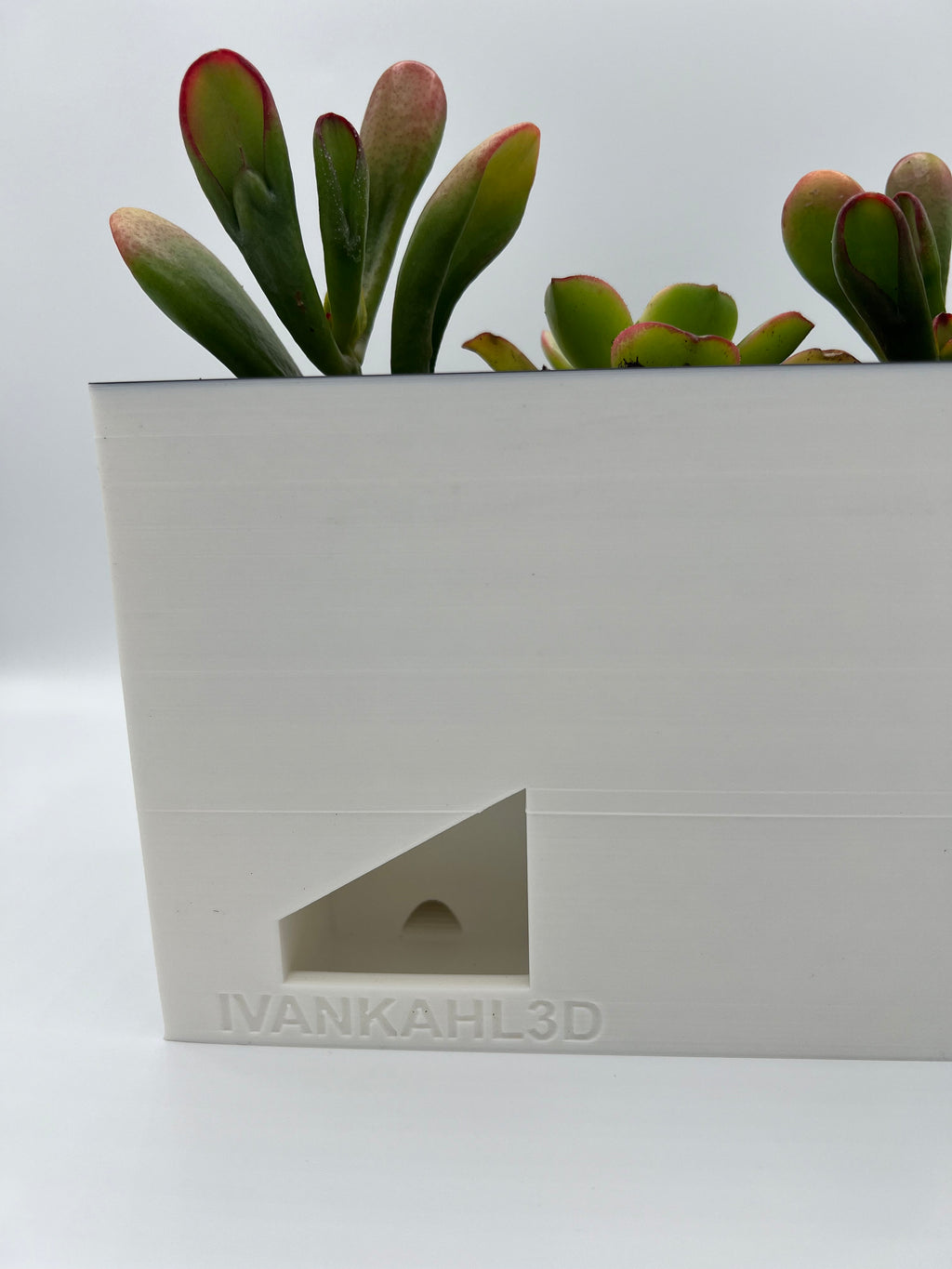 3D Printed Zen Garden Planter: Tiered Succulent Home Decor