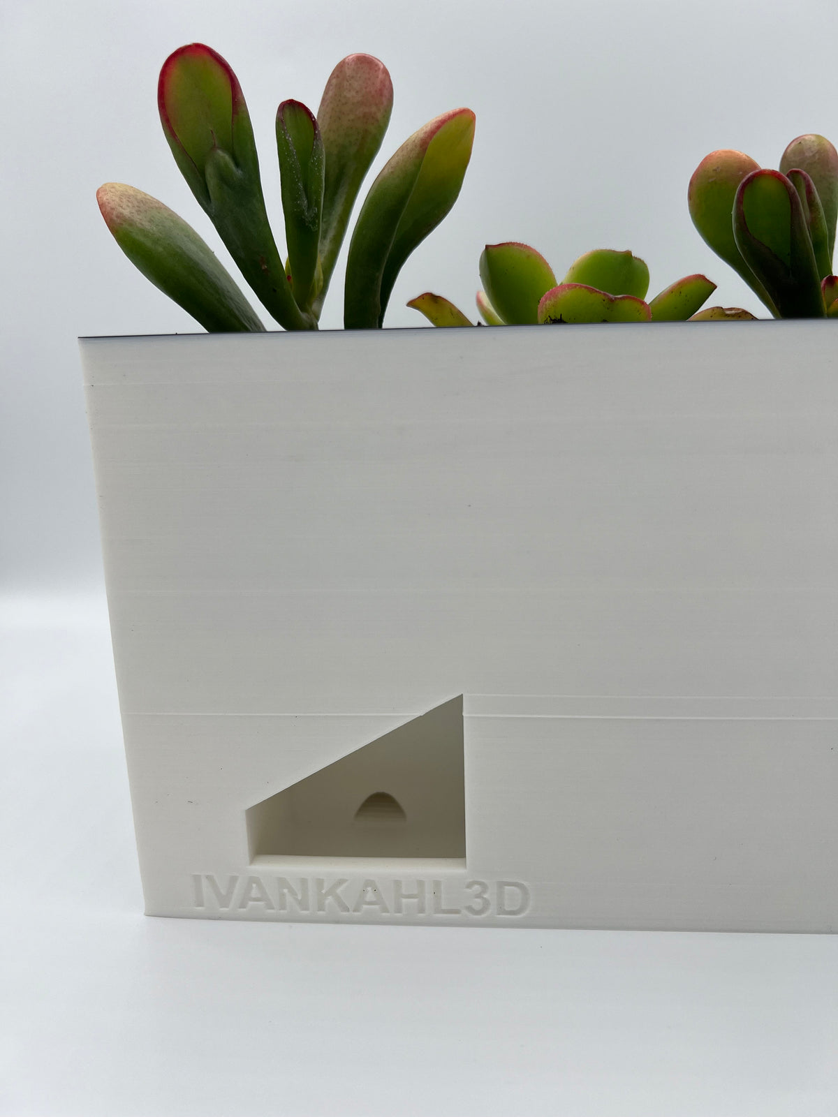 3D Printed Zen Garden Planter: Tiered Succulent Home Decor