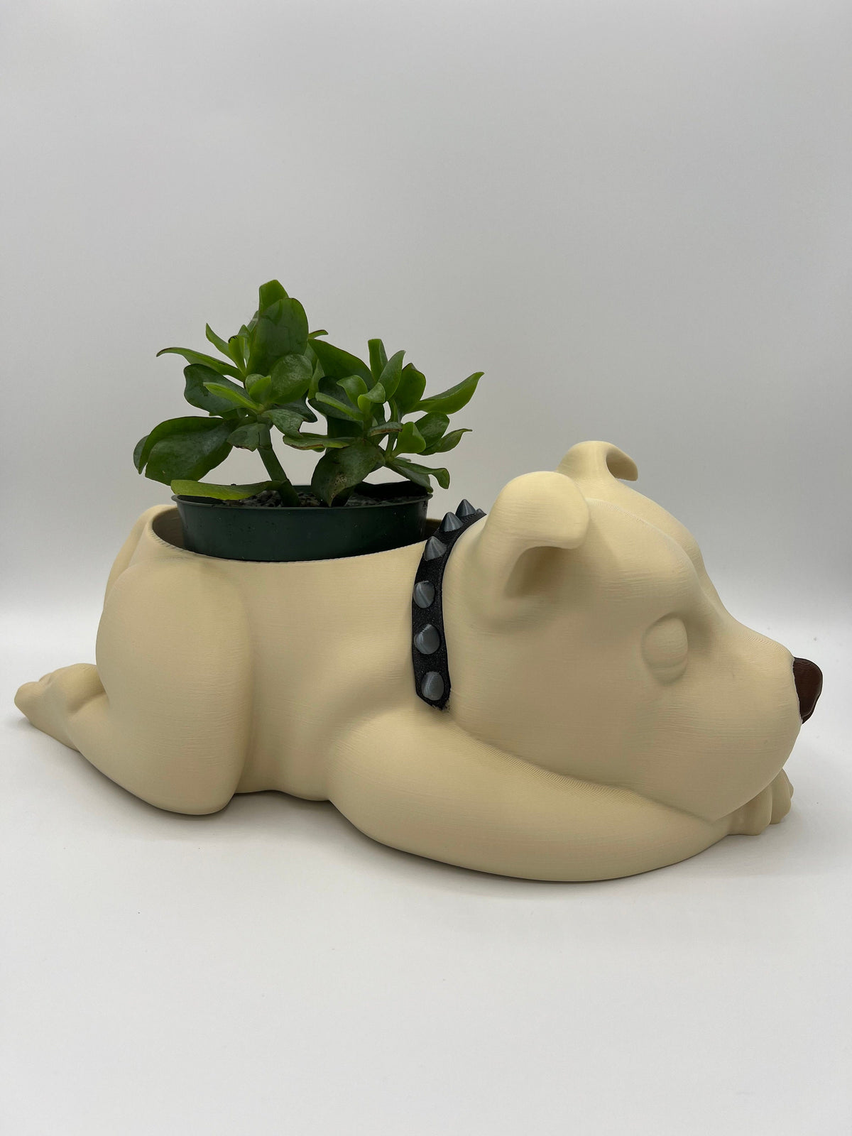 Sleeping Staffy Planter: Staffordshire Bull Terrier Dog Planter