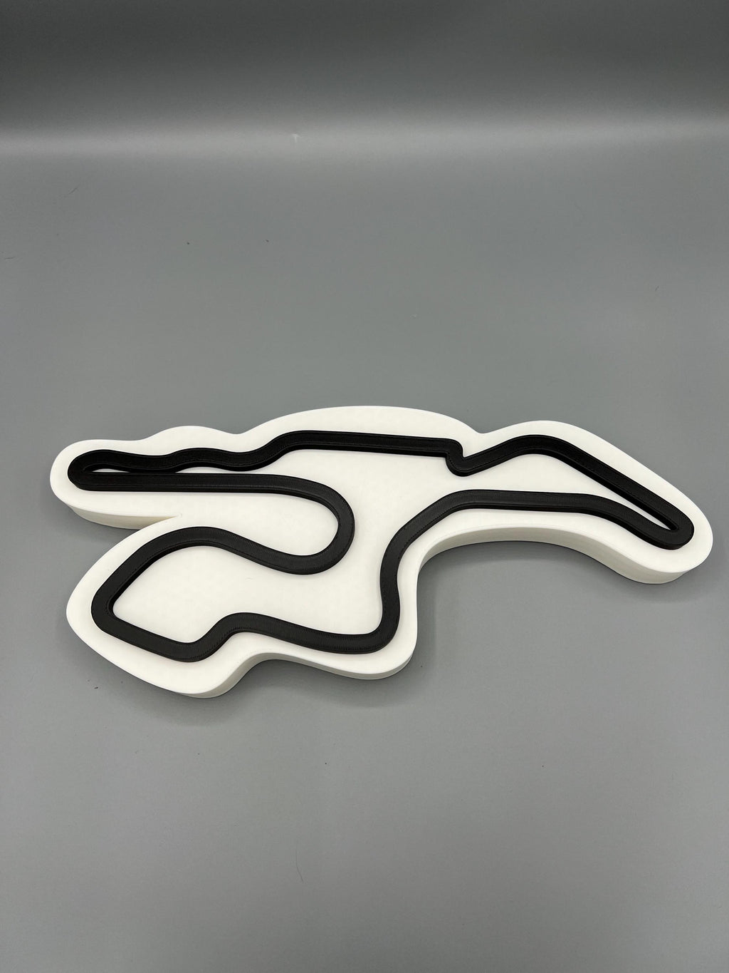 Sonoma Raceway 3D Printed Wall Art: Car Lover Gift