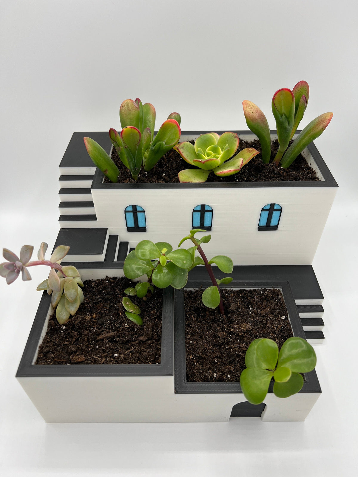 3D Printed Zen Garden Planter: Tiered Succulent Home Decor