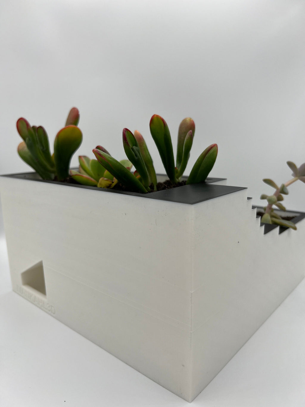 3D Printed Zen Garden Planter: Tiered Succulent Home Decor