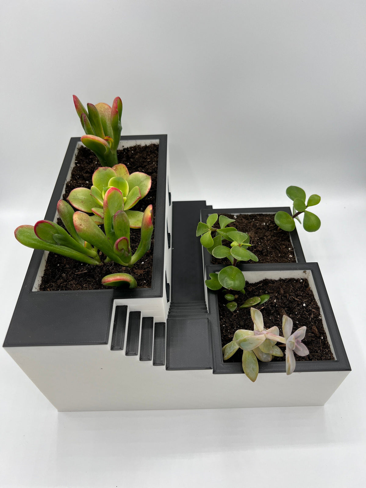 3D Printed Zen Garden Planter: Tiered Succulent Home Decor